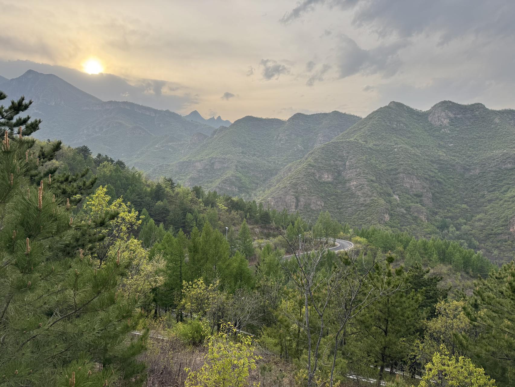 ‎Check network for missing images.