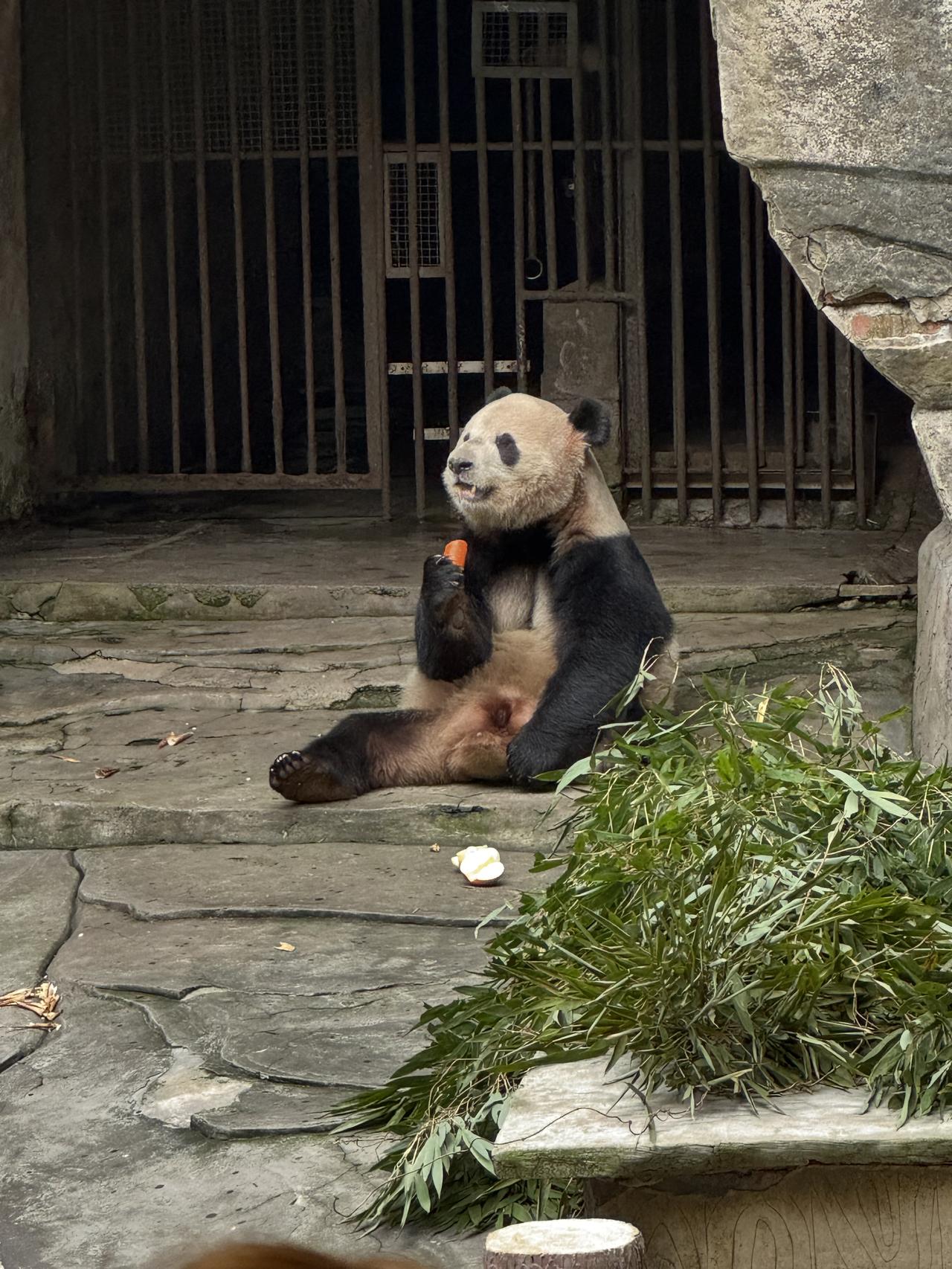 ‎Check network for missing images.