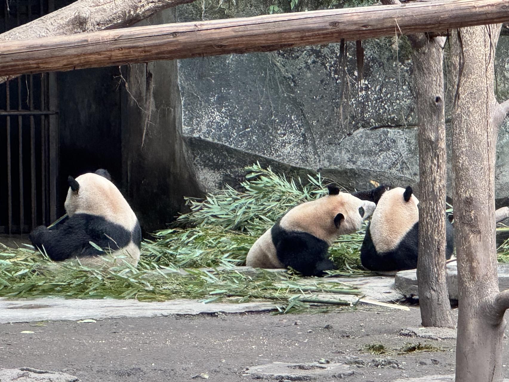 ‎Check network for missing images.