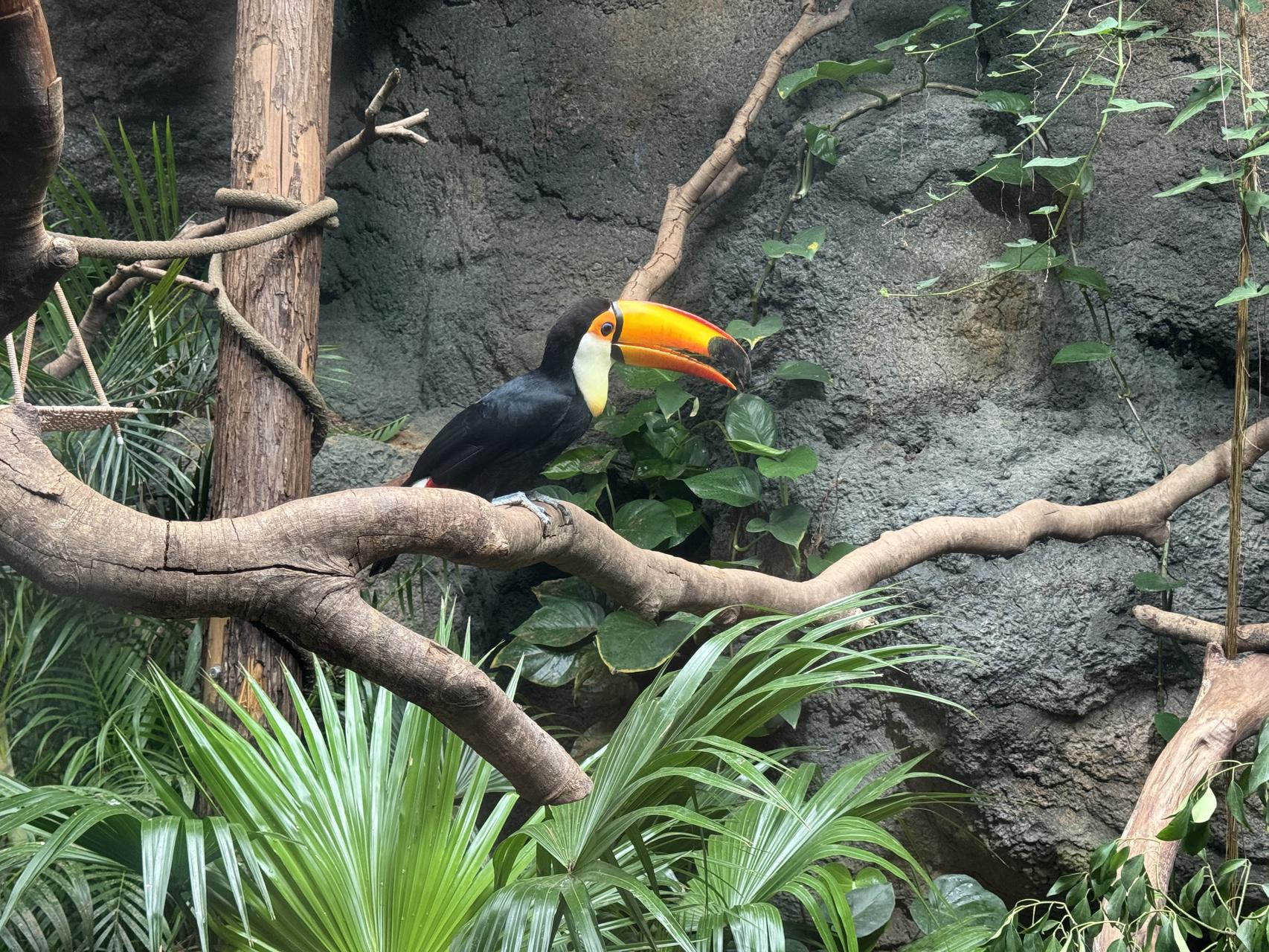 ‎Check network for missing images.