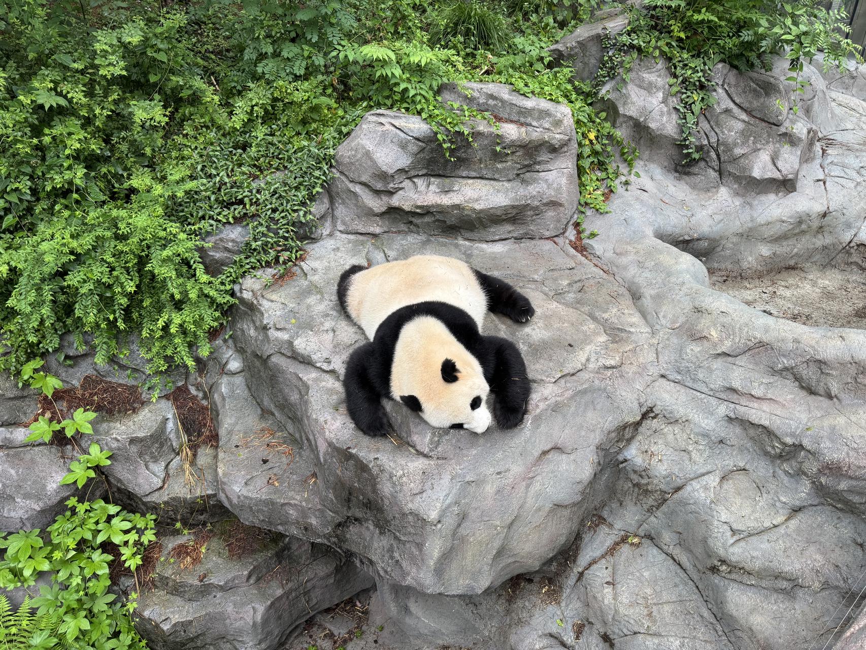 ‎Check network for missing images.