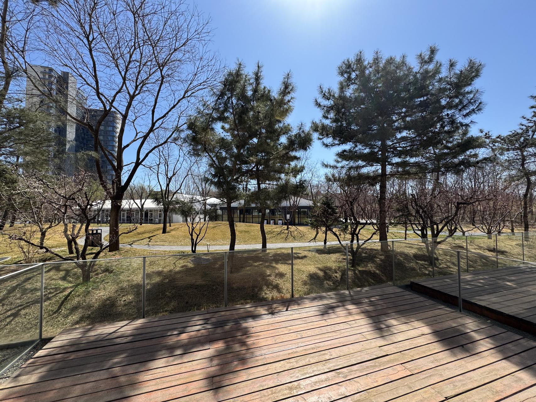 ‎Check network for missing images.