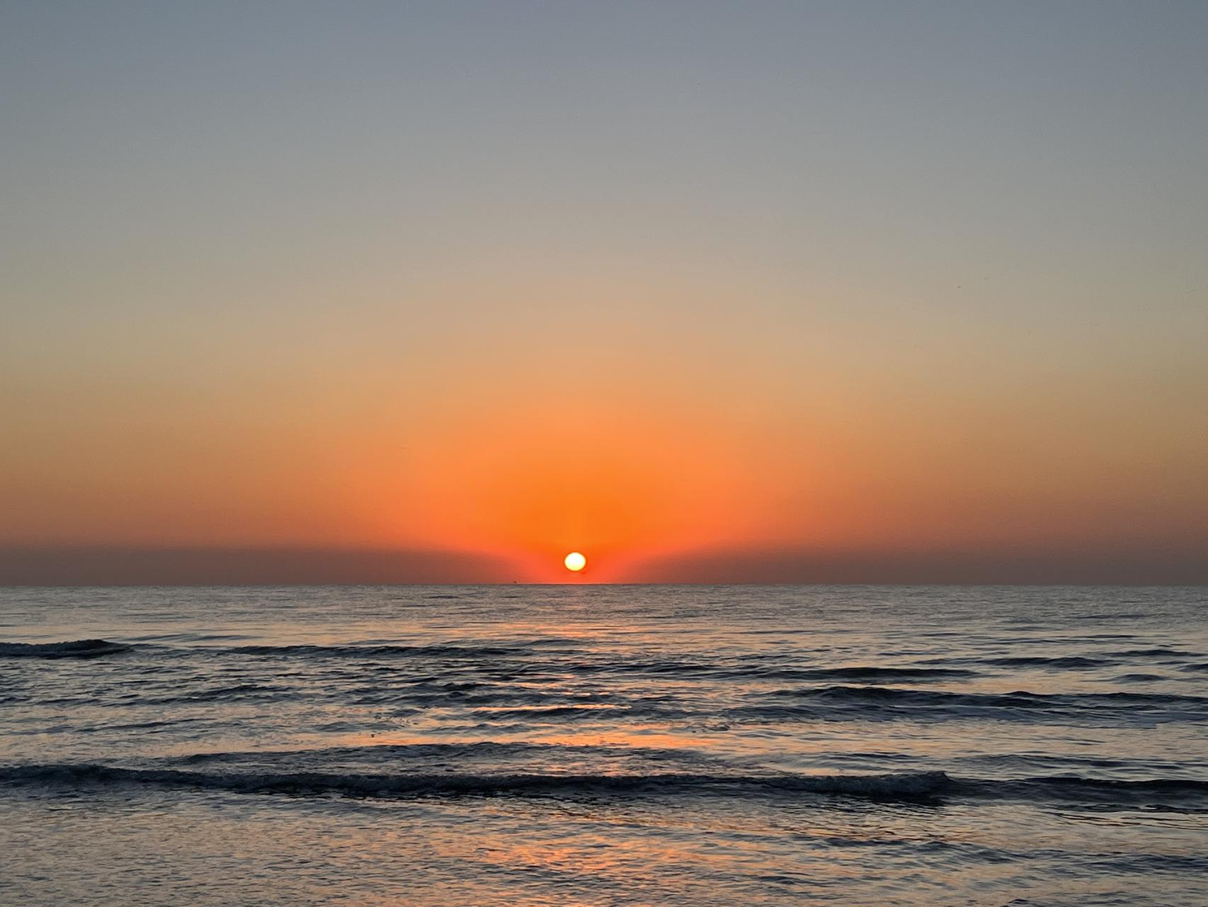 ‎Check network for missing images.