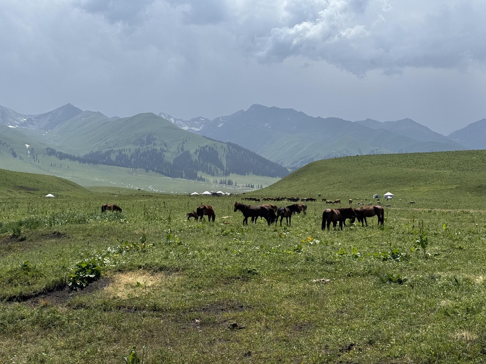 ‎Check network for missing images.