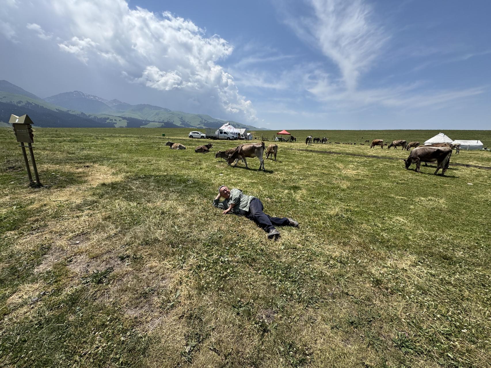 ‎Check network for missing images.