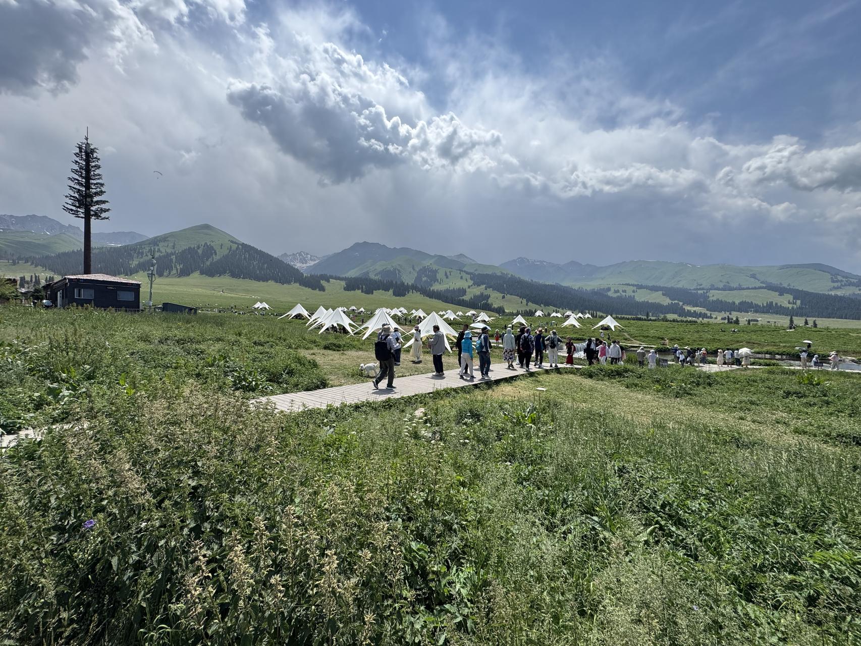 ‎Check network for missing images.