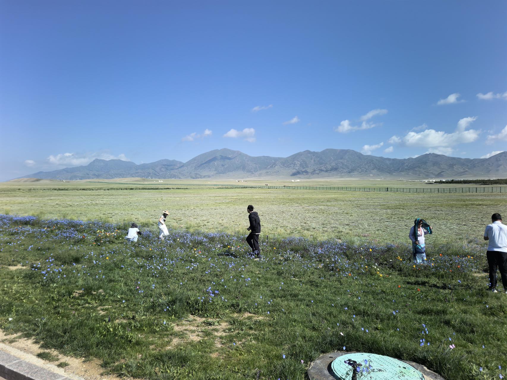 ‎Check network for missing images.