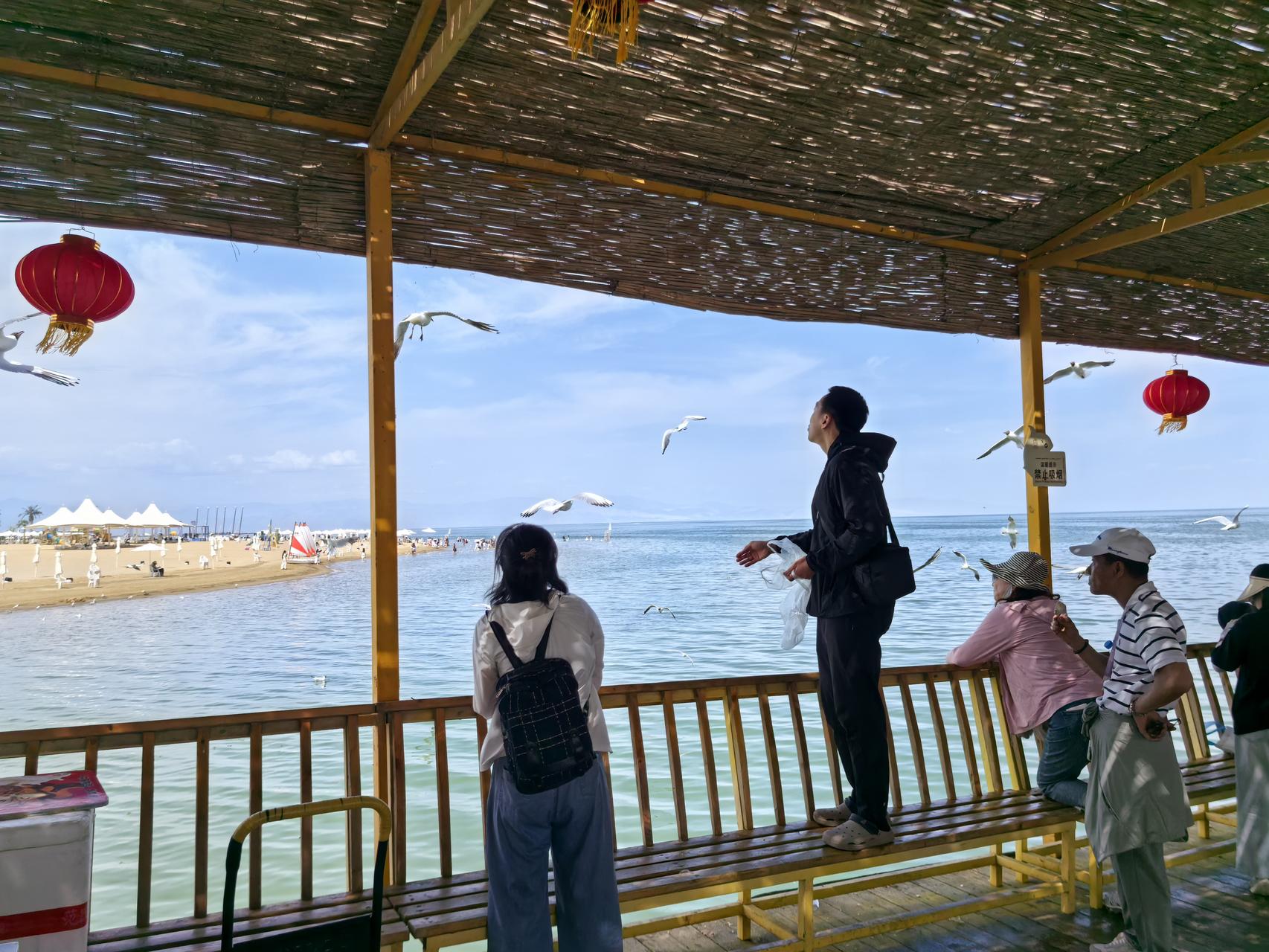 ‎Check network for missing images.