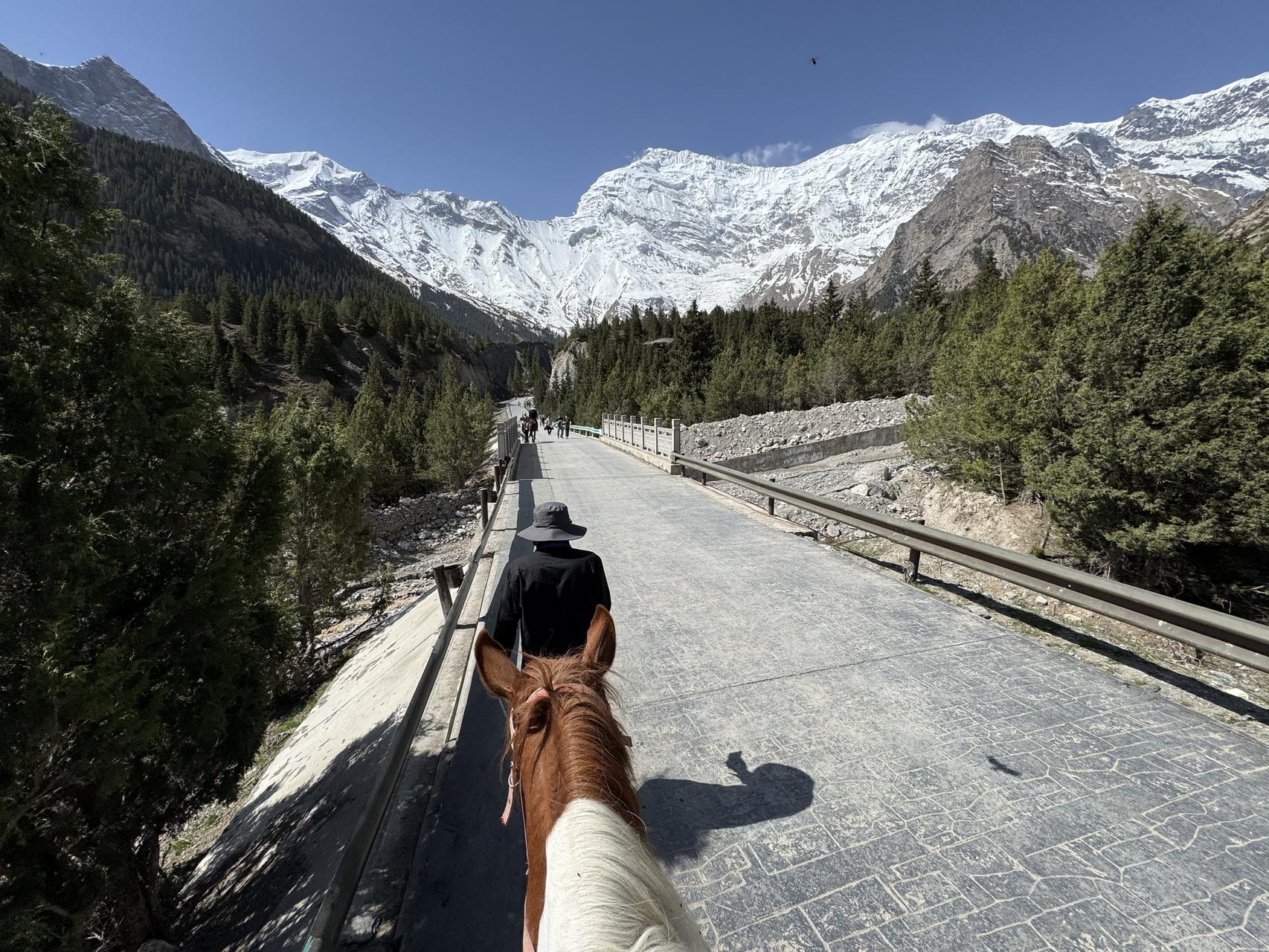 ‎Check network for missing images.