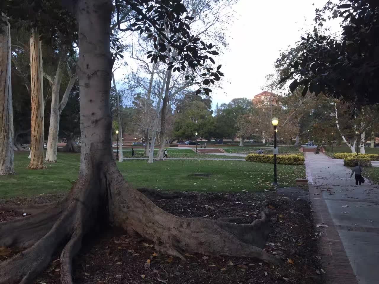 ‎Check network for missing images.