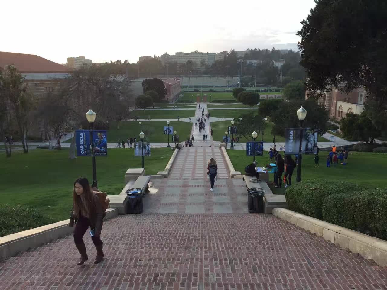 ‎Check network for missing images.