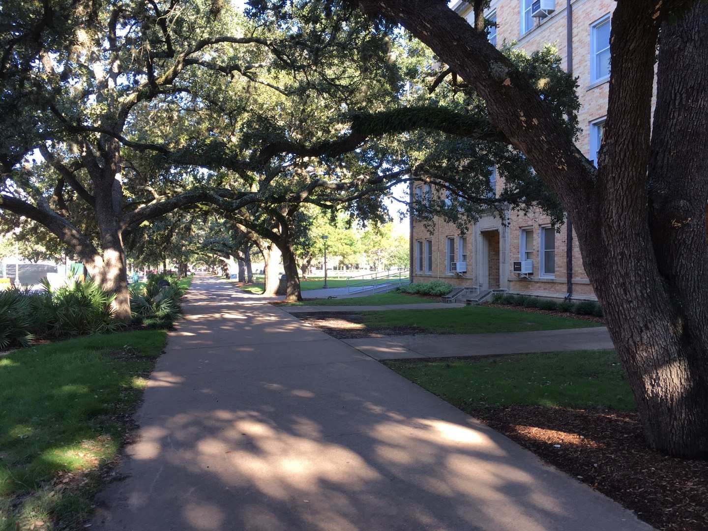 ‎Check network for missing images.