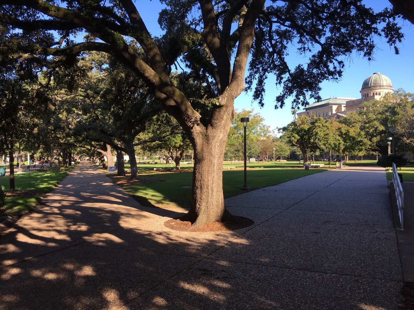 ‎Check network for missing images.