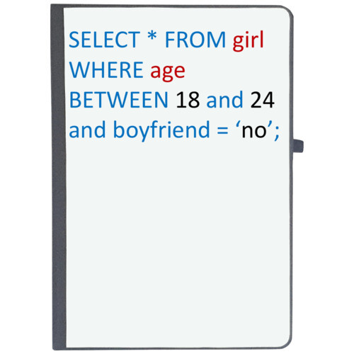 Coder | Select * from girl where age between 18 and 24 and boyfriend = 'no
