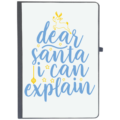 Christmas Santa | dear santa i can explain