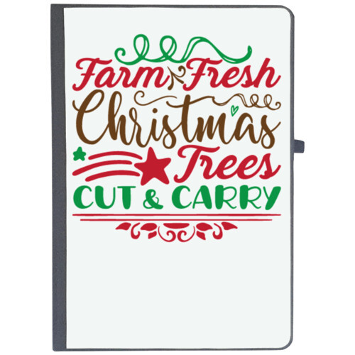 Christmas Santa | farm fresh christmas trees cut & carry-01