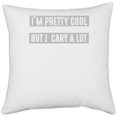 i am cool pillow