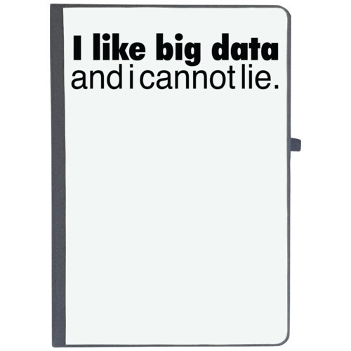 | i like big data and i cannot lie