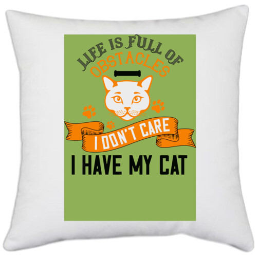 Cat | Life is full