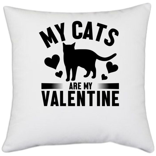 Cat my Valentine | My cats