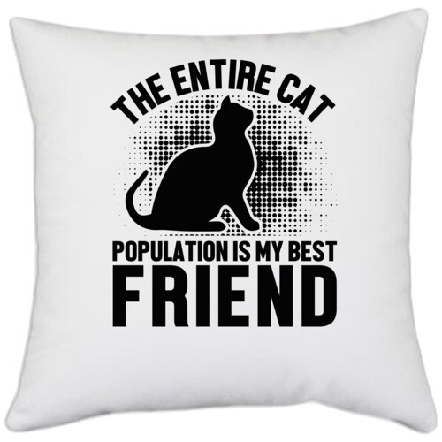 Cat friend | The entire cat