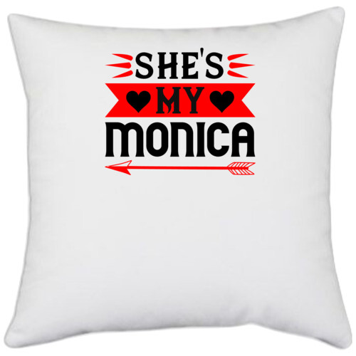 Couple | she's my monica
